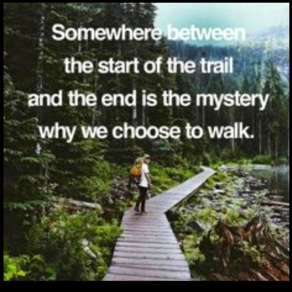 ๐ฆ CARHARTT BROWN CREW Long Sleeve TEE WOMENS LG VNPLC - Picture 15 of 16